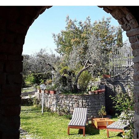 Bed and Breakfast La Collina Degli Olivi Carmignano Zewnętrze zdjęcie