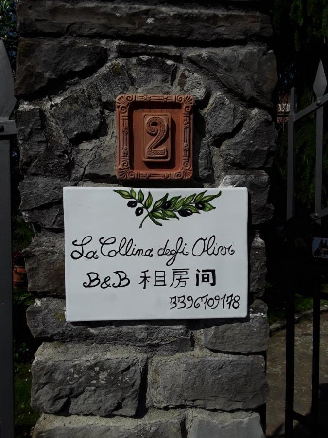 Bed and Breakfast La Collina Degli Olivi Carmignano Zewnętrze zdjęcie
